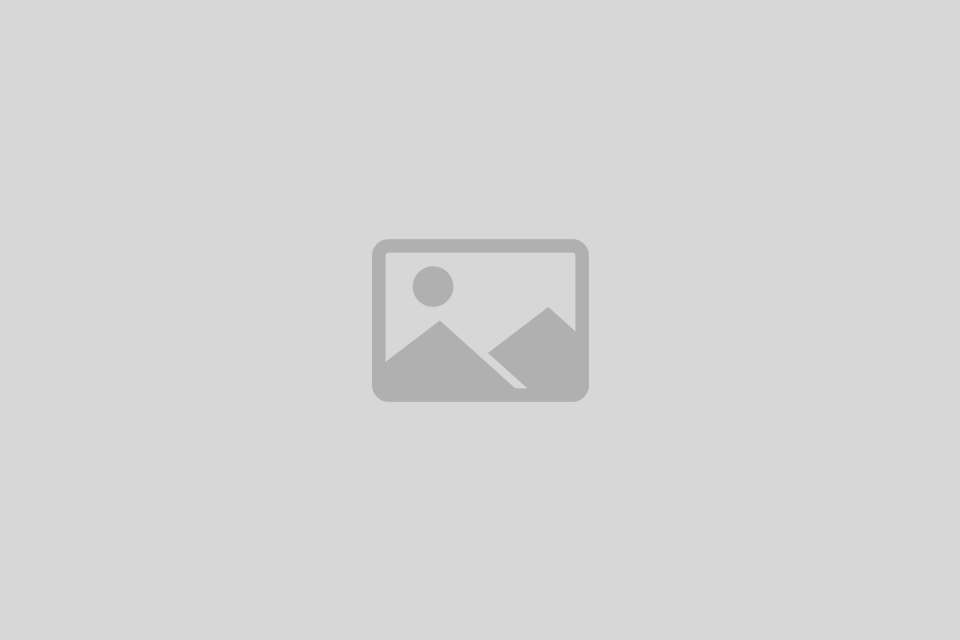 Ziston – 商家目录列表 WordPress 主题